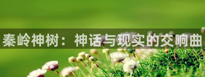 里番acg全彩漫画：秦岭神树：神话与现实的交响曲