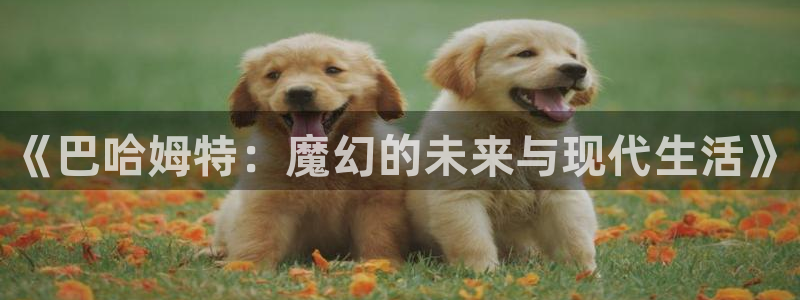 旧里番日本动漫：《巴哈姆特：魔幻的未来与现代生活》