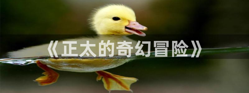 2020里番动漫