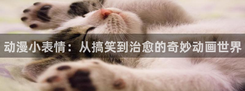 里番动漫视频：动漫小表情：从搞笑到治愈的奇妙动画世界