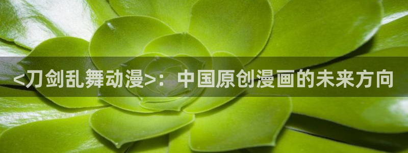 里番动漫在线免费观看