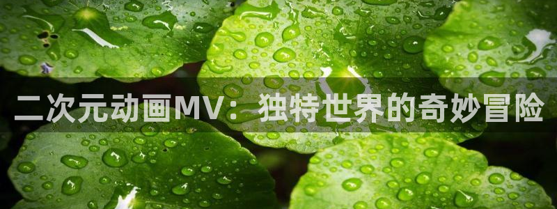 有什么好看的动漫里番