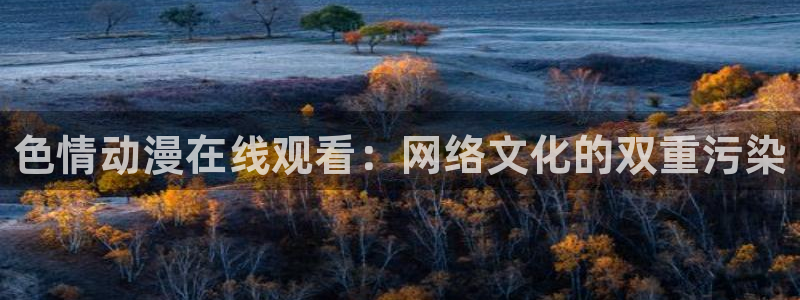 动漫旧里番：色情动漫在线观看：网络文化的双重污染
