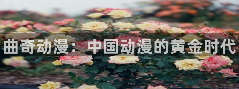 里番动漫18+：曲奇动漫：中国动漫的黄金时代