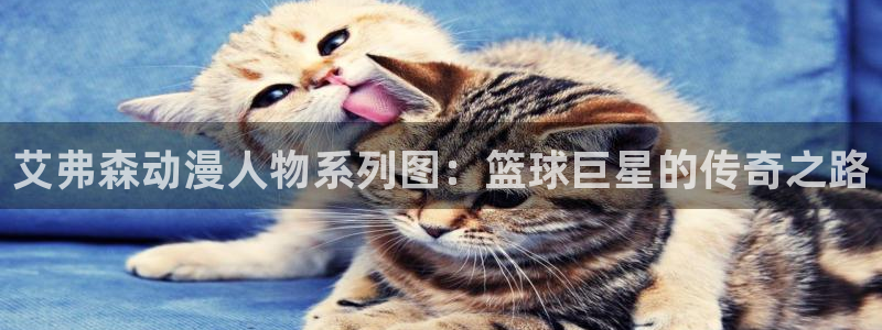 里番库绅士漫画