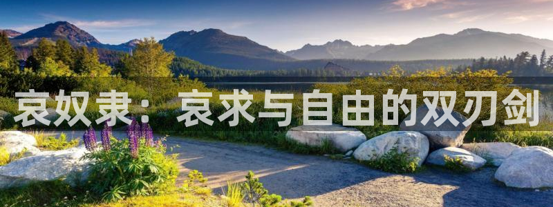 里番动画吧