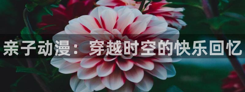 3d里番动漫网