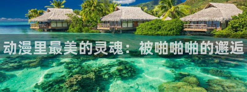 h动漫里番
