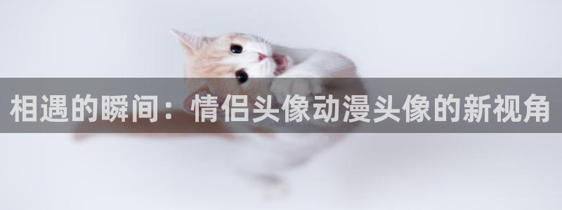 里番好看的动漫