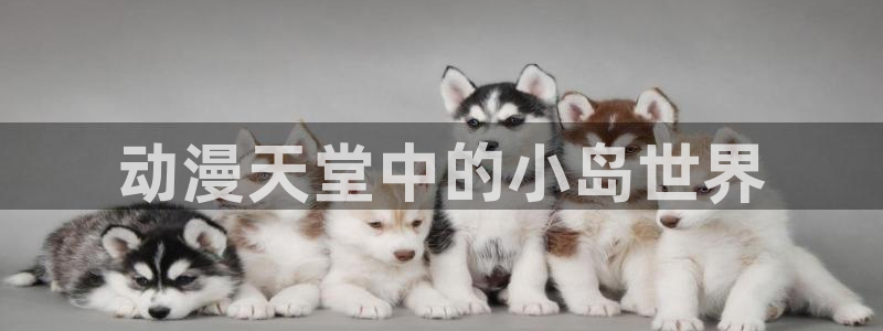 里番大全