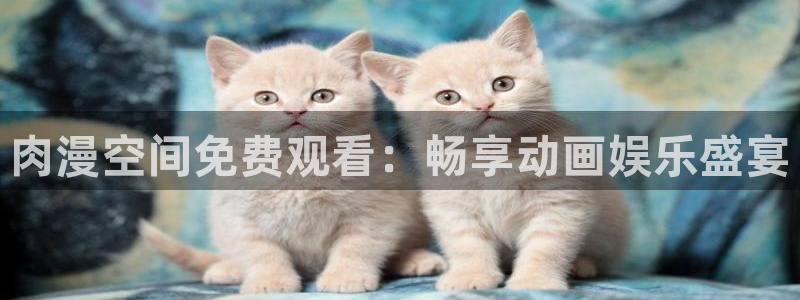 经典动漫里番