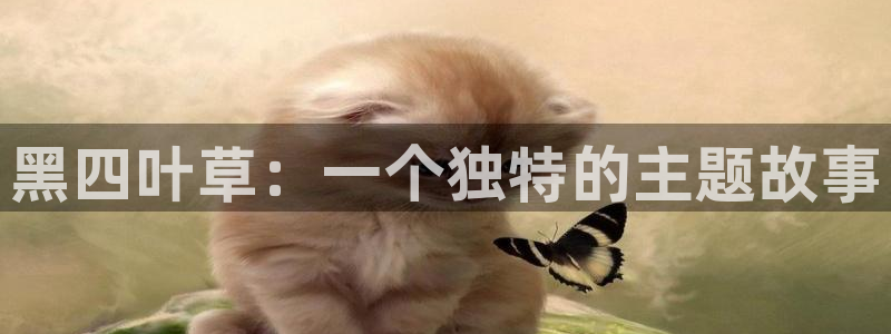 动漫肉里番