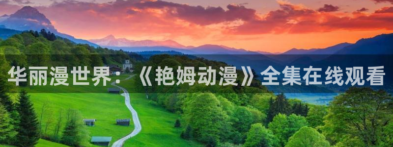 里番动画片在线观看