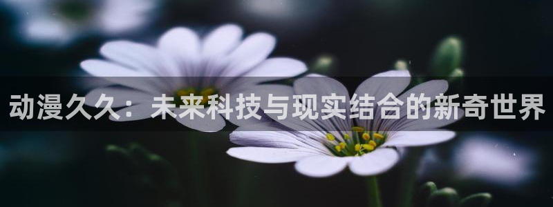 里番动漫电影
