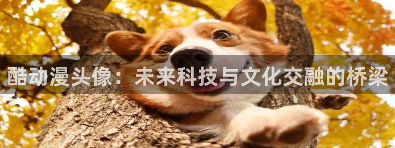 工口动漫里番